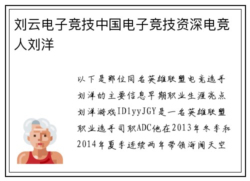 刘云电子竞技中国电子竞技资深电竞人刘洋